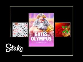 Stake casino