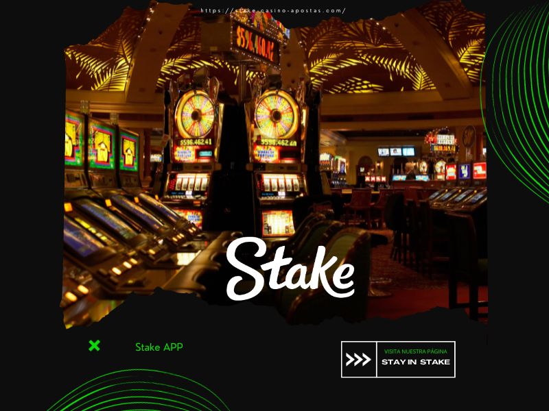Vive Stake desde la web resposive del casino